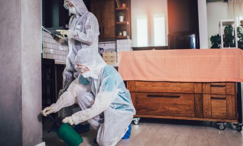 pre construction termite treatment