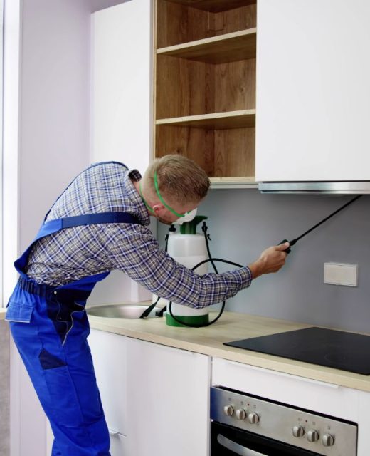 Preconstruction termite services1