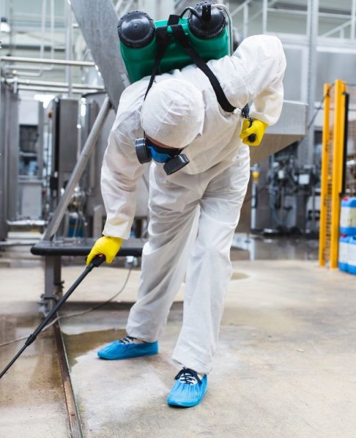 commercial termite inspection1